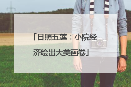 日照五莲：小院经济绘出大美画卷