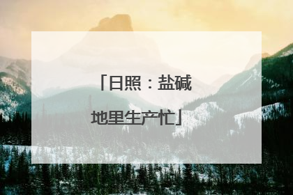 日照：盐碱地里生产忙