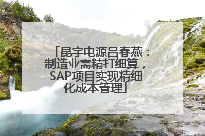昆宇电源吕春燕：制造业需精打细算，SAP项目实现精细化成本管理