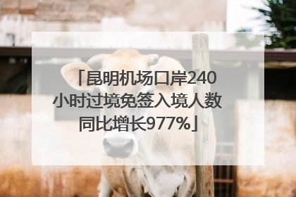 昆明机场口岸240小时过境免签入境人数同比增长977%