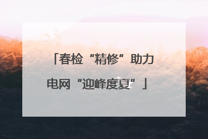 春检“精修”助力电网“迎峰度夏”