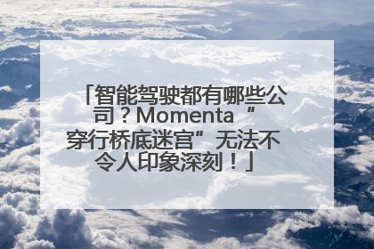 智能驾驶都有哪些公司？Momenta“穿行桥底迷宫”无法不令人印象深刻！