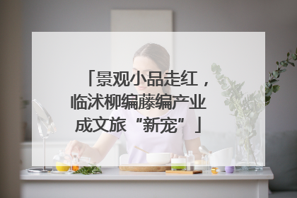 景观小品走红，临沭柳编藤编产业成文旅“新宠”