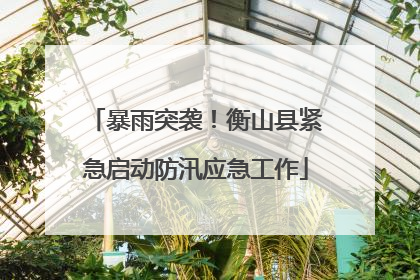 暴雨突袭！衡山县紧急启动防汛应急工作