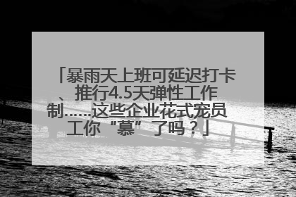 暴雨天上班可延迟打卡、推行4.5天弹性工作制……这些企业花式宠员工你“慕”了吗？