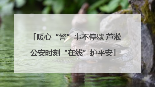暖心“警”事不停歇 芦淞公安时刻“在线”护平安
