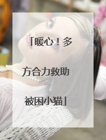 暖心！多方合力救助被困小猫