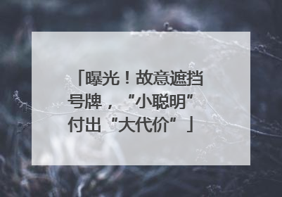 曝光！故意遮挡号牌，“小聪明”付出“大代价”