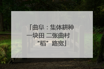 曲阜：集体耕种一块田 二张曲村“稻”路宽