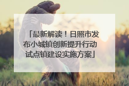 最新解读！日照市发布小城镇创新提升行动试点镇建设实施方案