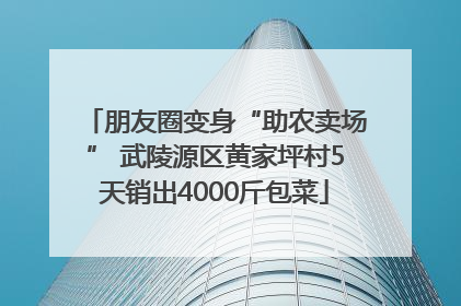 朋友圈变身“助农卖场” 武陵源区黄家坪村5天销出4000斤包菜