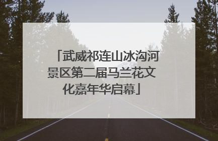 武威祁连山冰沟河景区第二届马兰花文化嘉年华启幕
