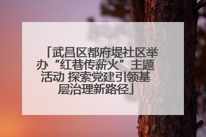 武昌区都府堤社区举办“红巷传薪火”主题活动 探索党建引领基层治理新路径