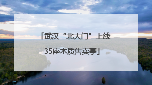 武汉“北大门”上线35座木质售卖亭