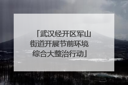 武汉经开区军山街道开展节前环境综合大整治行动