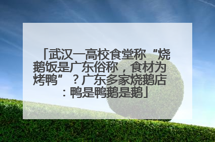 武汉一高校食堂称“烧鹅饭是广东俗称，食材为烤鸭”？广东多家烧鹅店：鸭是鸭鹅是鹅