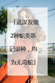 武汉发现2种蛇类新记录种，均为无毒蛇