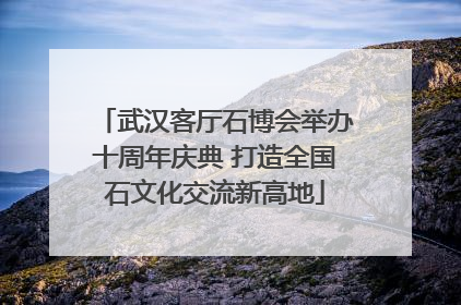武汉客厅石博会举办十周年庆典 打造全国石文化交流新高地