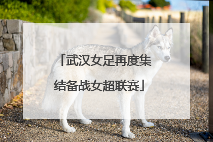 武汉女足再度集结备战女超联赛