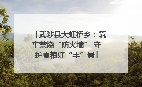 武陟县大虹桥乡：筑牢禁烧“防火墙” 守护夏粮好“丰”景
