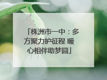 株洲市一中：多方聚力护征程 暖心相伴助梦圆