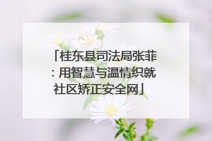 桂东县司法局张菲：用智慧与温情织就社区矫正安全网