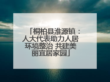 桐柏县淮源镇：人大代表助力人居环境整治 共建美丽宜居家园
