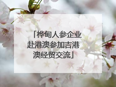 桦甸人参企业赴港澳参加吉港澳经贸交流