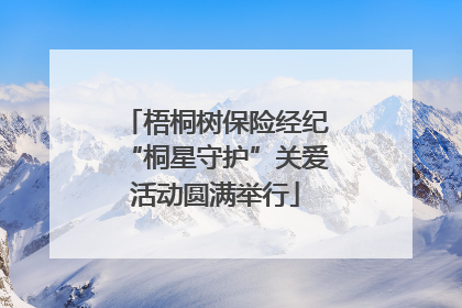 梧桐树保险经纪“桐星守护”关爱活动圆满举行