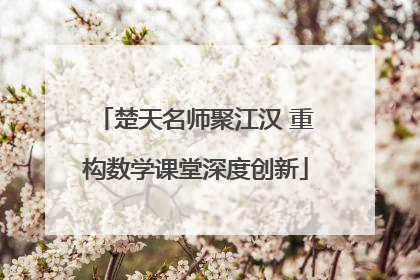 楚天名师聚江汉 重构数学课堂深度创新