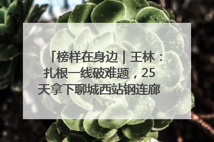 榜样在身边｜王林：扎根一线破难题，25天拿下聊城西站钢连廊“硬核”工程