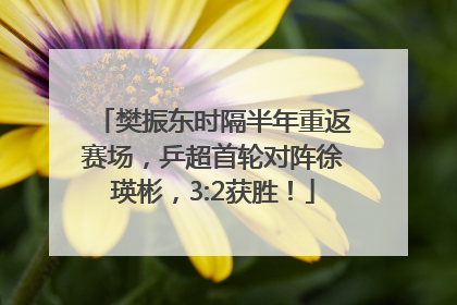 樊振东时隔半年重返赛场，乒超首轮对阵徐瑛彬，3:2获胜！