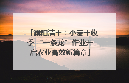 濮阳清丰：小麦丰收季 “一条龙”作业开启农业高效新篇章