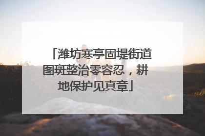 潍坊寒亭固堤街道图斑整治零容忍，耕地保护见真章