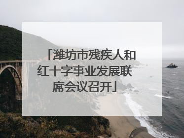 潍坊市残疾人和红十字事业发展联席会议召开