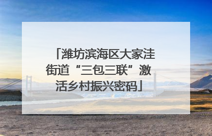 潍坊滨海区大家洼街道“三包三联”激活乡村振兴密码
