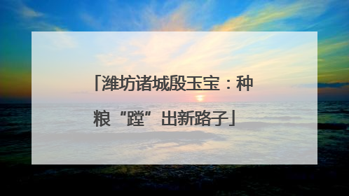 潍坊诸城殷玉宝：种粮“蹚”出新路子