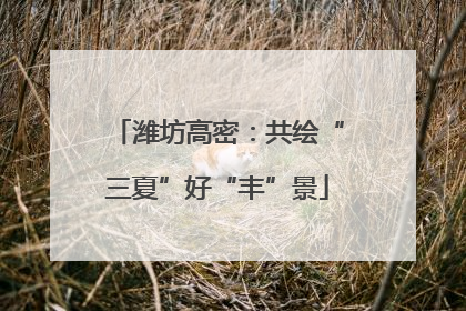 潍坊高密：共绘“三夏”好“丰”景