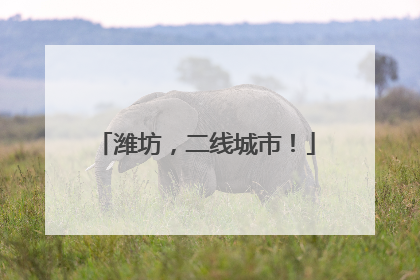 潍坊，二线城市！