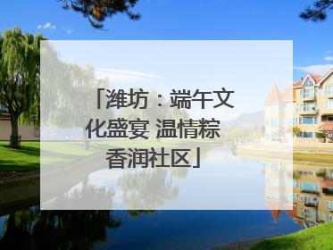 潍坊：端午文化盛宴 温情粽香润社区
