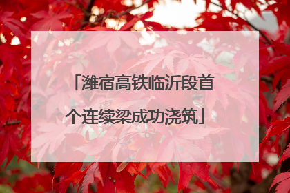 潍宿高铁临沂段首个连续梁成功浇筑
