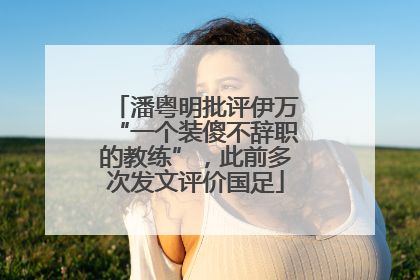 潘粤明批评伊万“一个装傻不辞职的教练”，此前多次发文评价国足