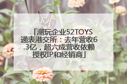 潮玩企业52TOYS递表港交所：去年营收6.3亿，超六成营收依赖授权IP和经销商