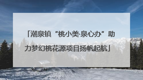 潮泉镇“桃小美·泉心办”助力梦幻桃花源项目扬帆起航