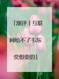 潮评丨互联网给不了韦东奕想要的