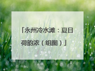 永州冷水滩：夏日荷韵浓（组图）