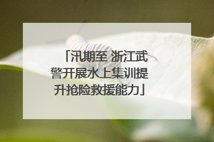汛期至 浙江武警开展水上集训提升抢险救援能力