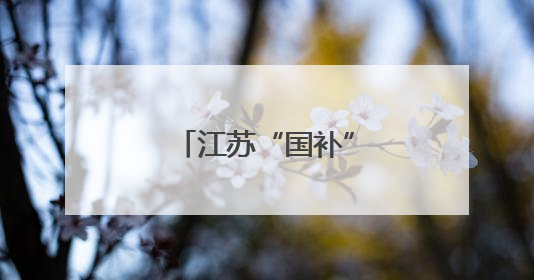 江苏“国补”采用限额分配