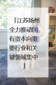 江苏扬州全力推动国有资本向重要行业和关键领域集中