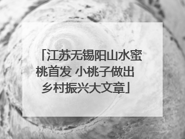 江苏无锡阳山水蜜桃首发 小桃子做出乡村振兴大文章